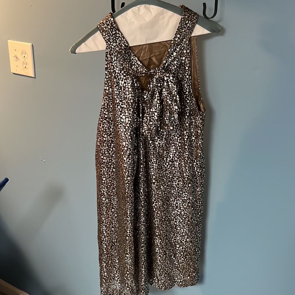 Adam Lippes Metallic Shift Dress - Picture 4 of 8